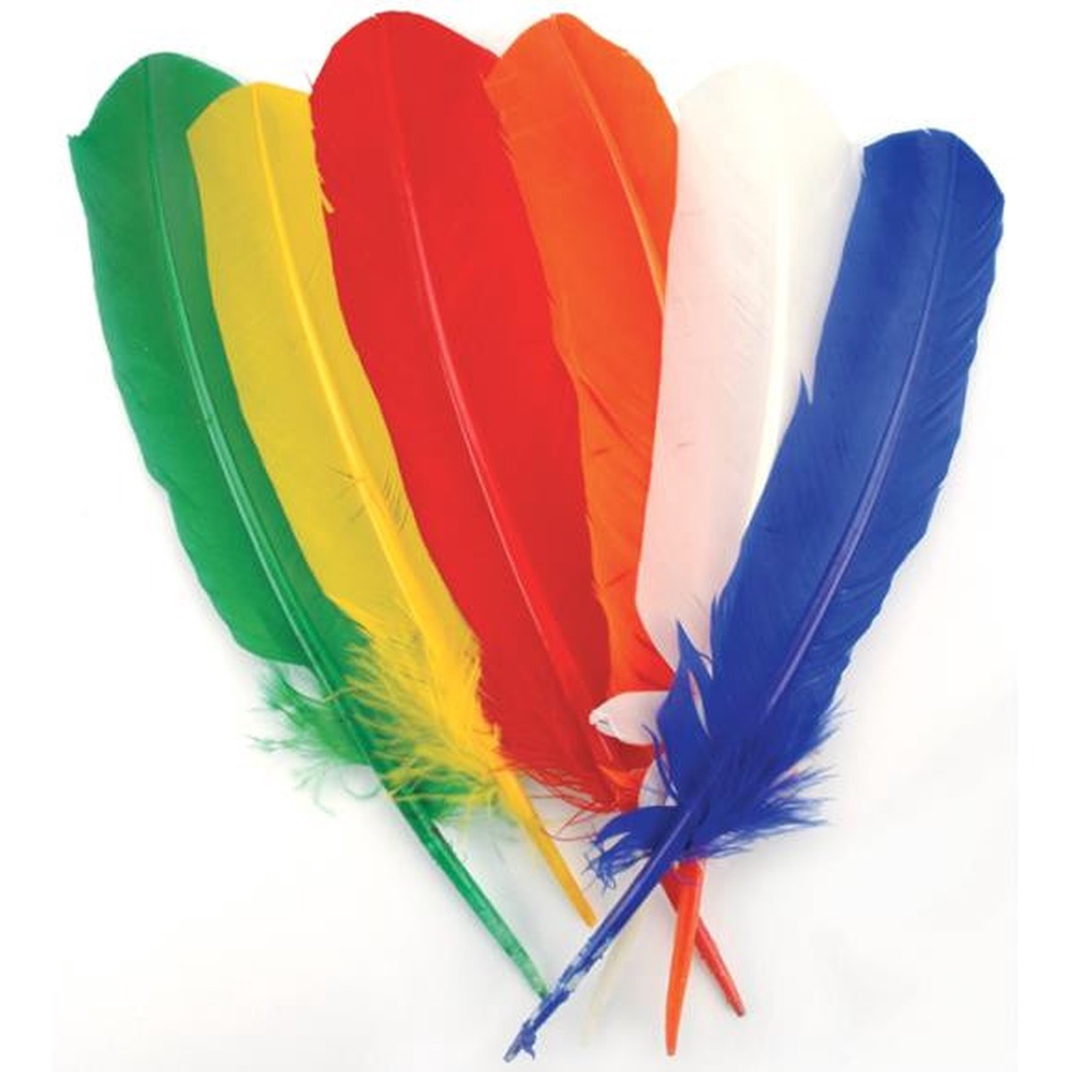 Zucker Turkey Quill Feathers 6/Pkg - Primary Colors