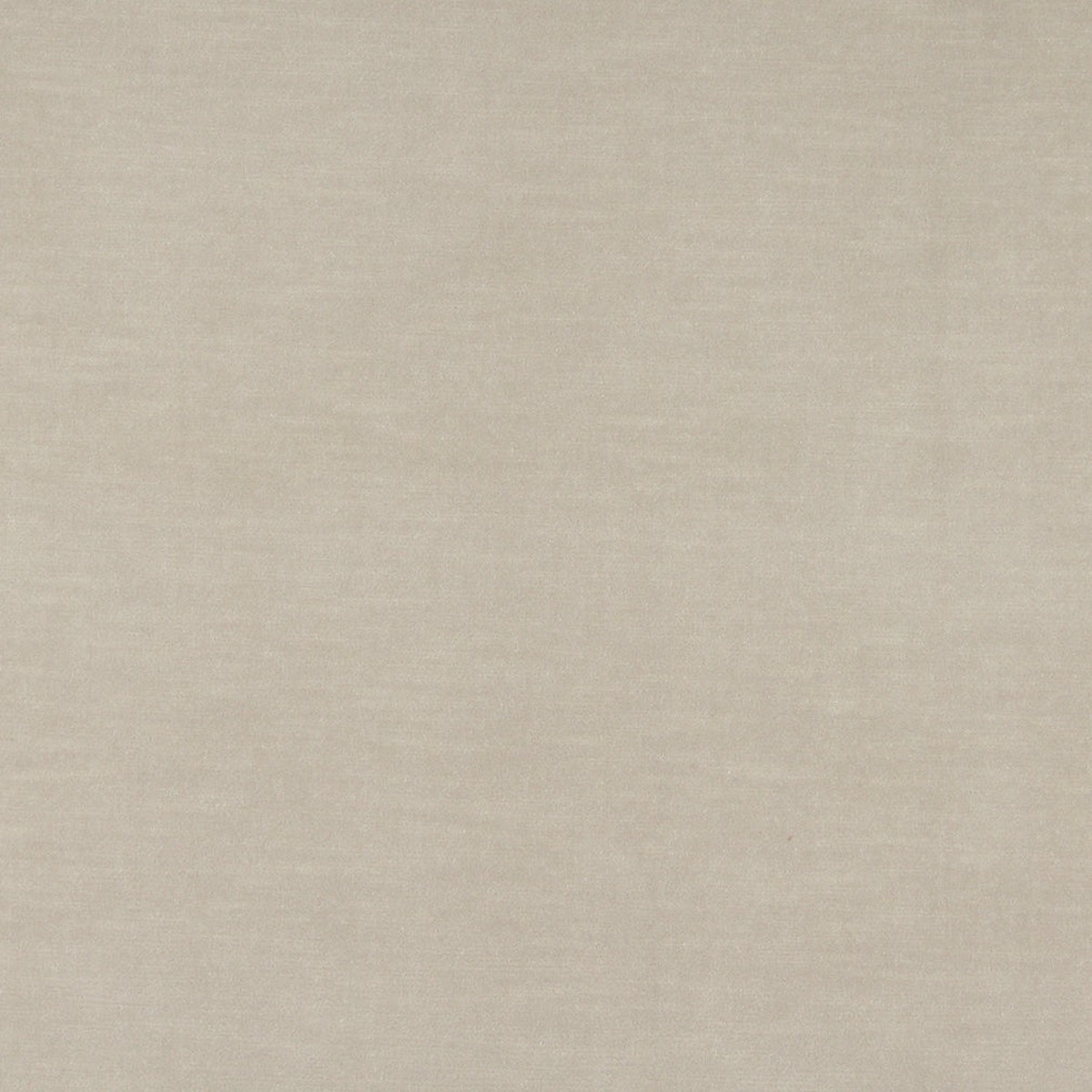 Charlotte - 10001-04 - Fabric by the Yard