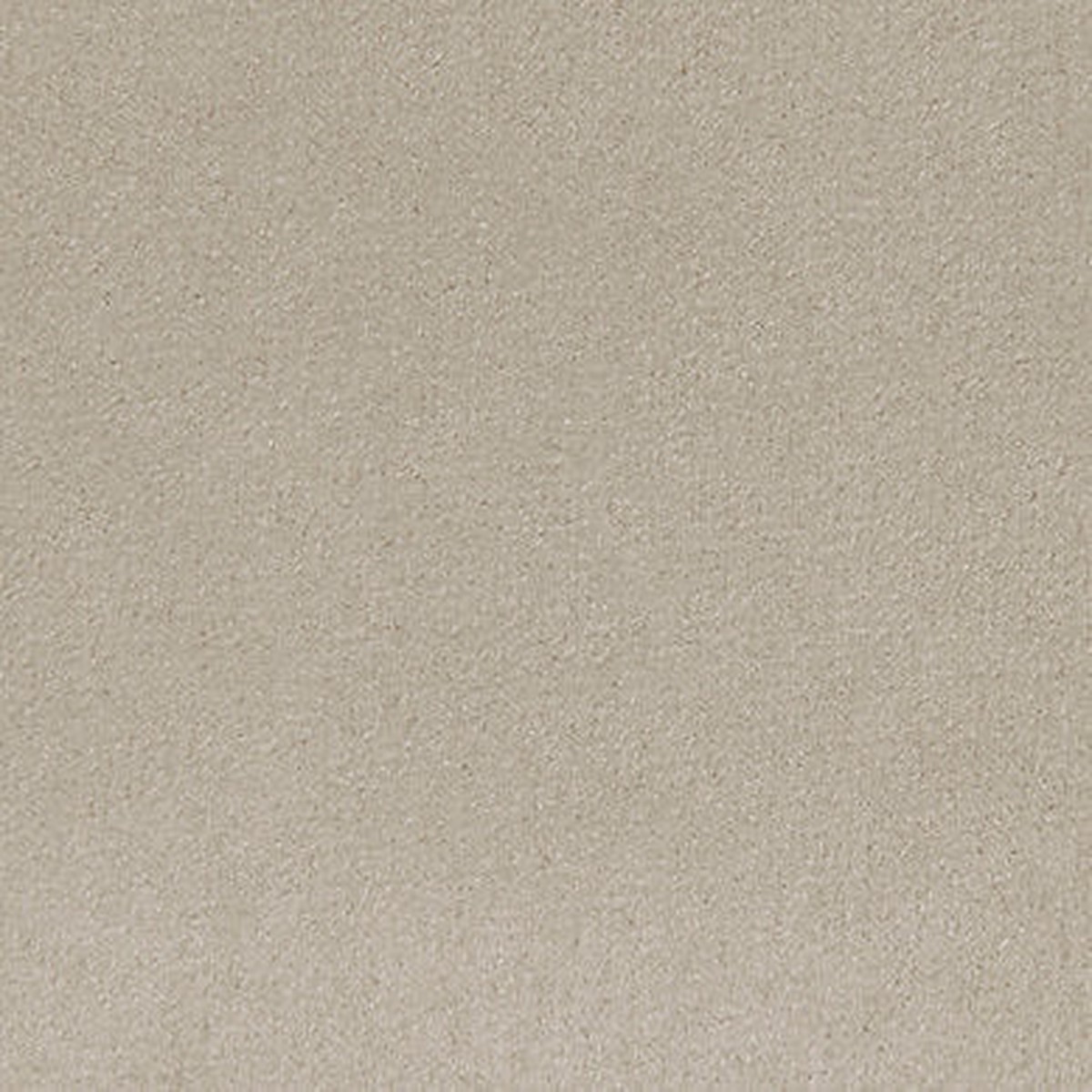 Thara - Almondine by Scalamandre Fabric