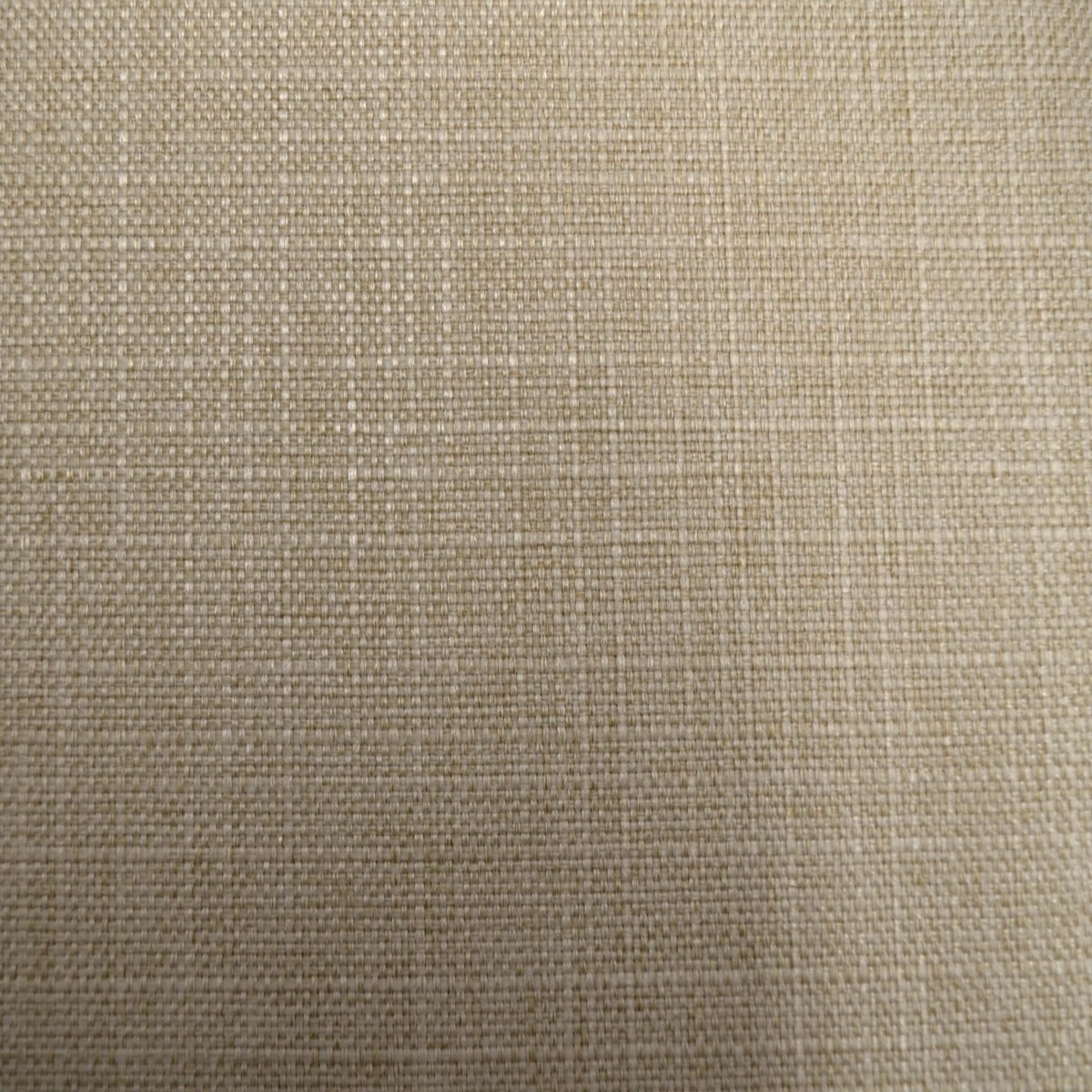 Turbo Sand Regal Fabric