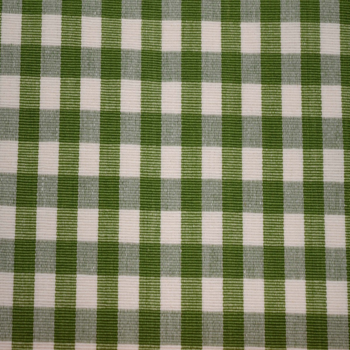 Chester Kiwi Roth & Tompkins Fabric