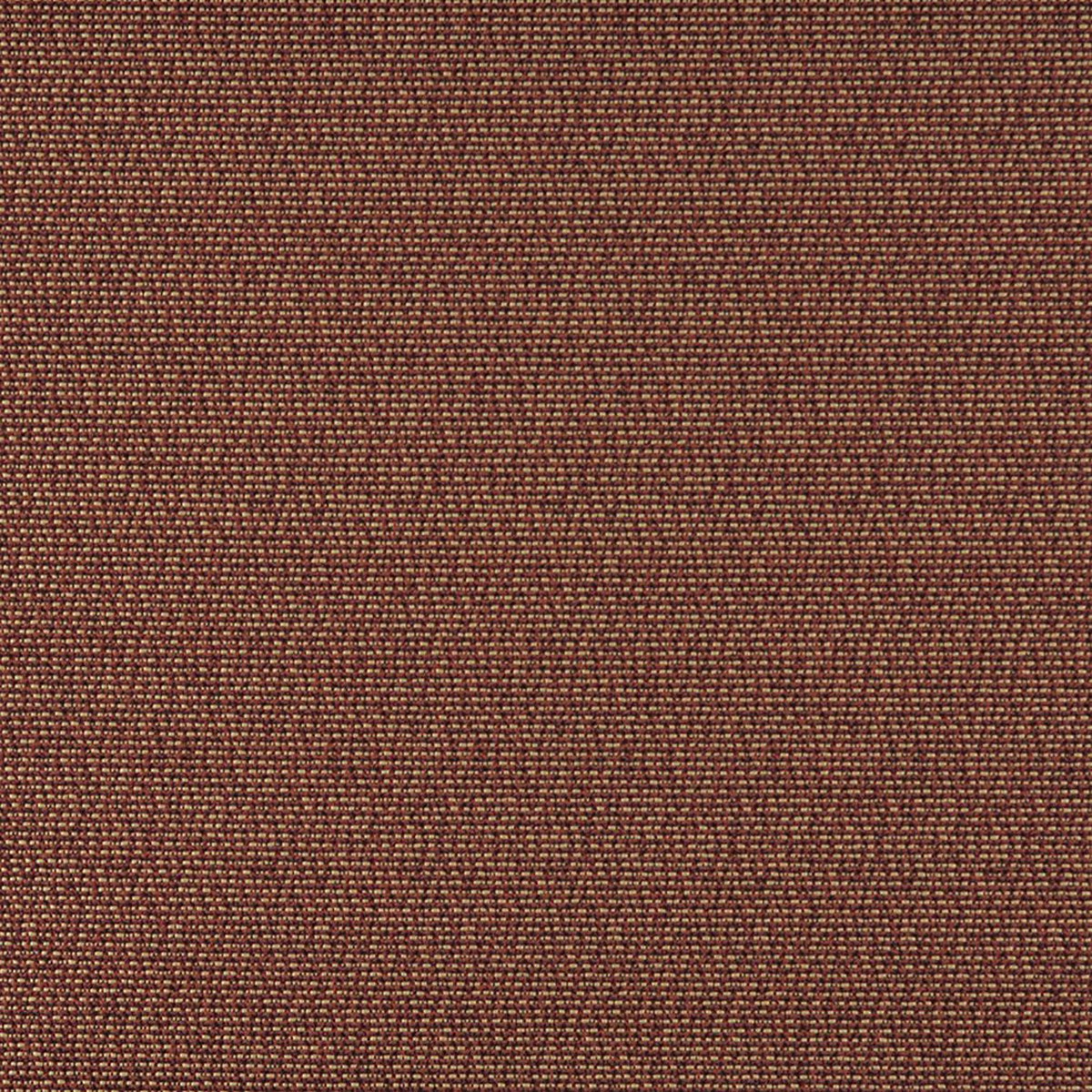 3823 Plain & Solid Spice Brown Charlotte Fabrics
