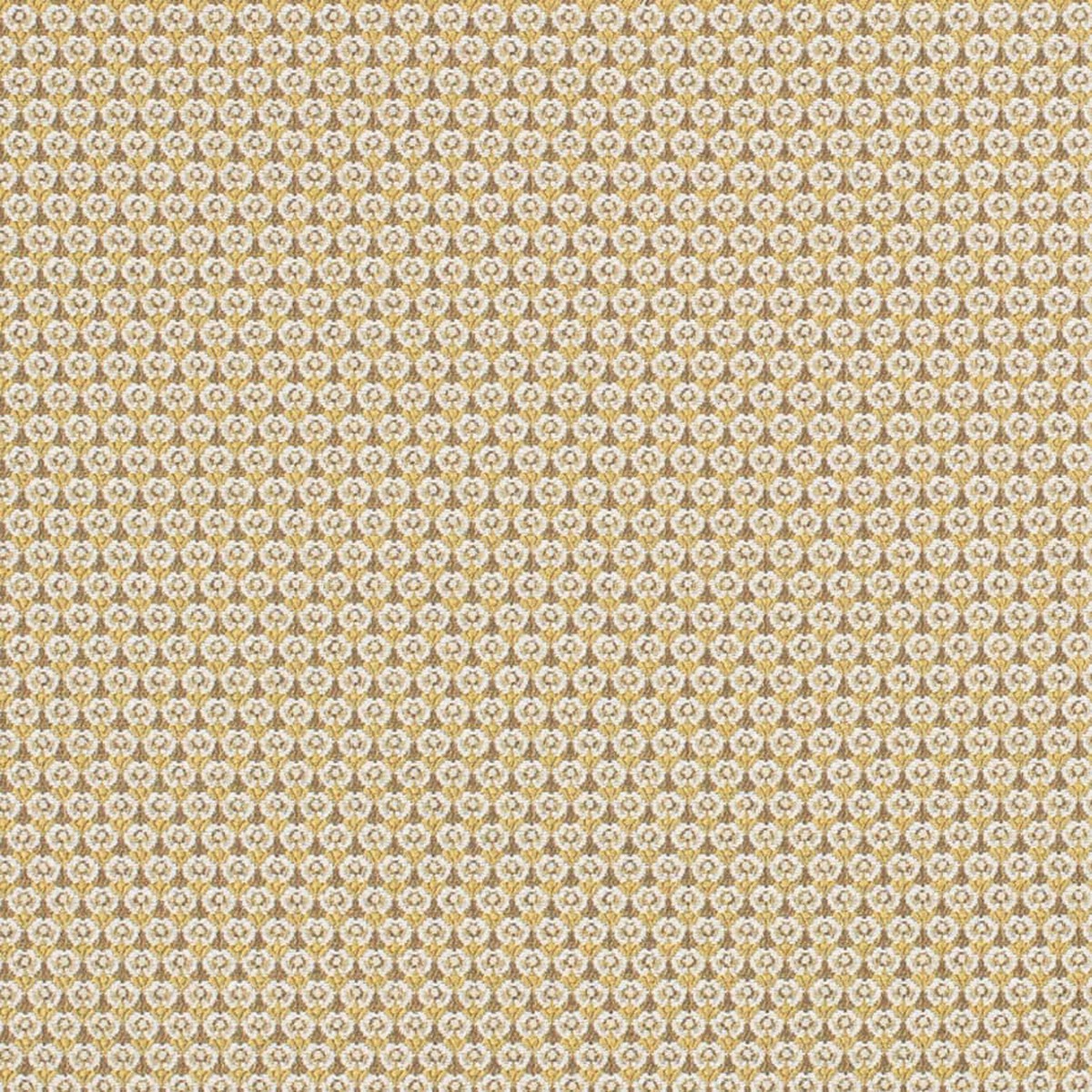 D3291 Abstract & Geometric,Small Scale Gold Petite Gold & Yellow Charlotte Fabrics