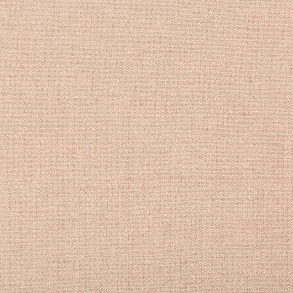 Oxfordian Blush Fabric