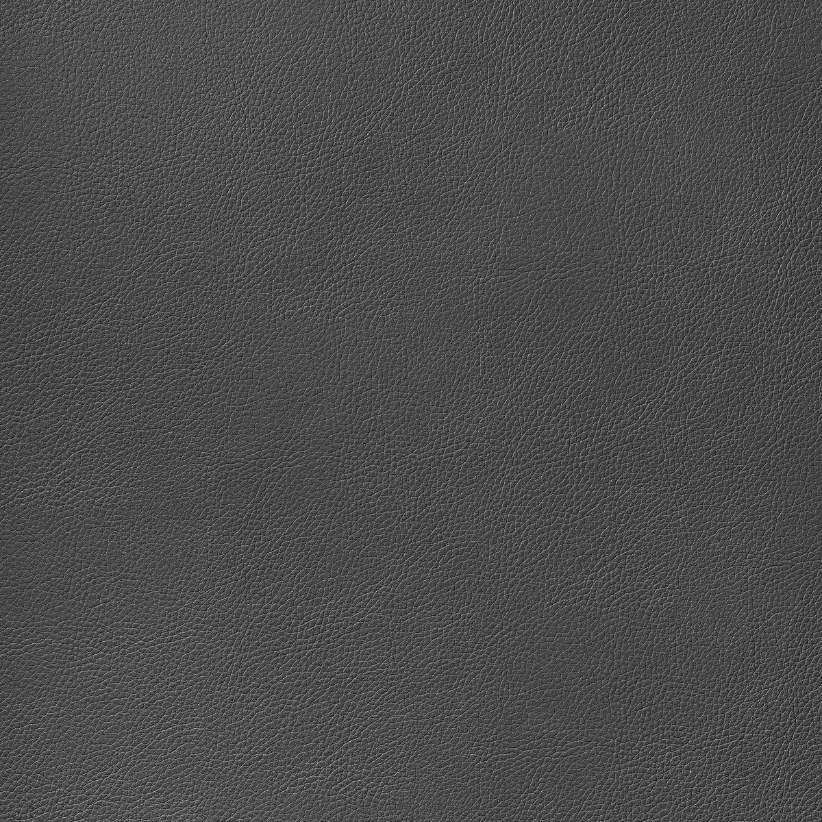 Arcata Charcoal Fabric