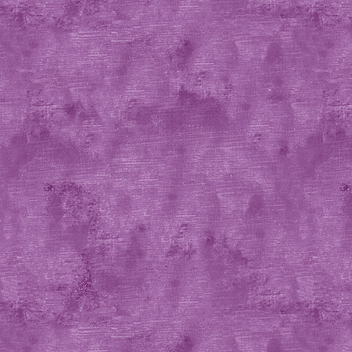 Chalk Texture Orchid