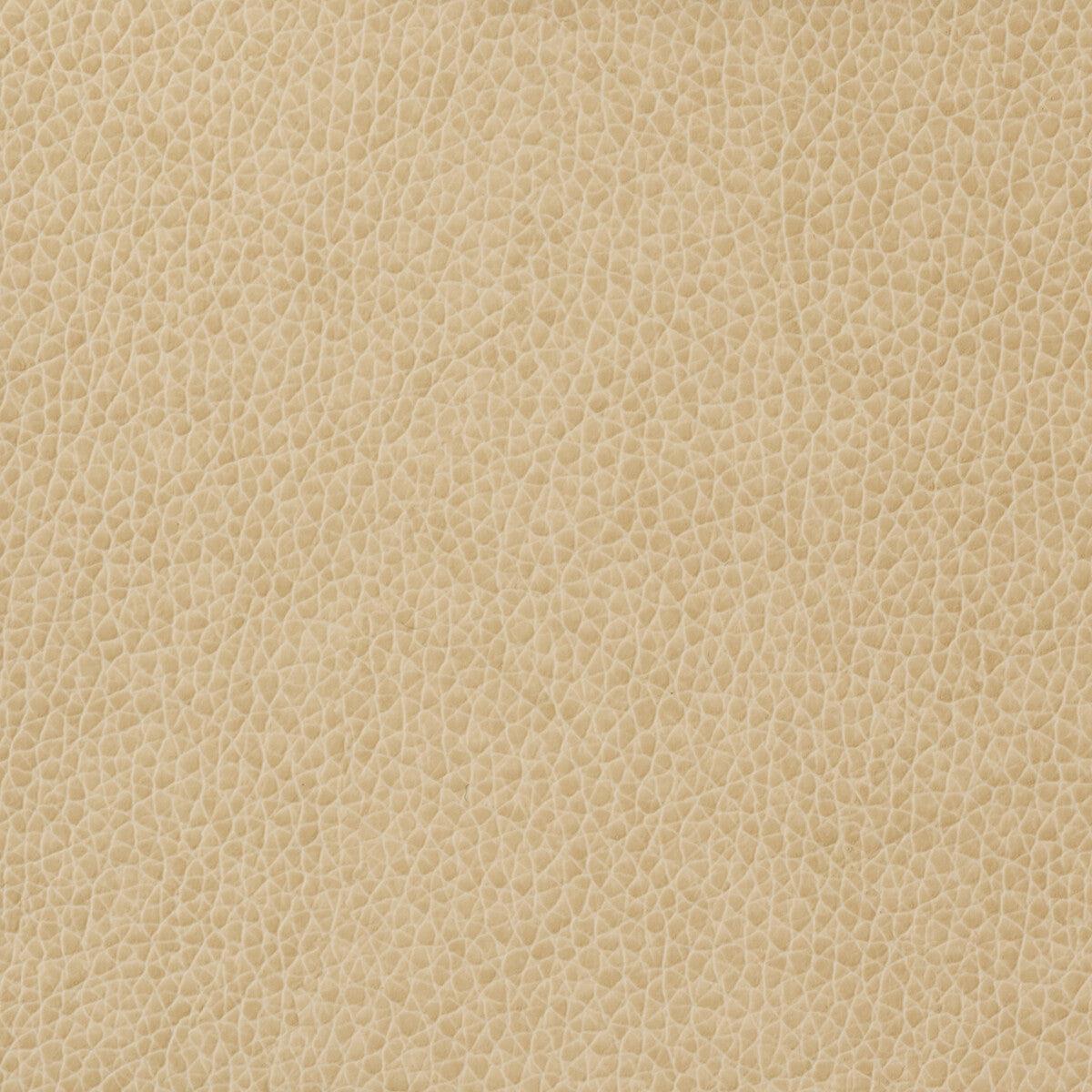 Kravet Basics Matter-1116 Fabric