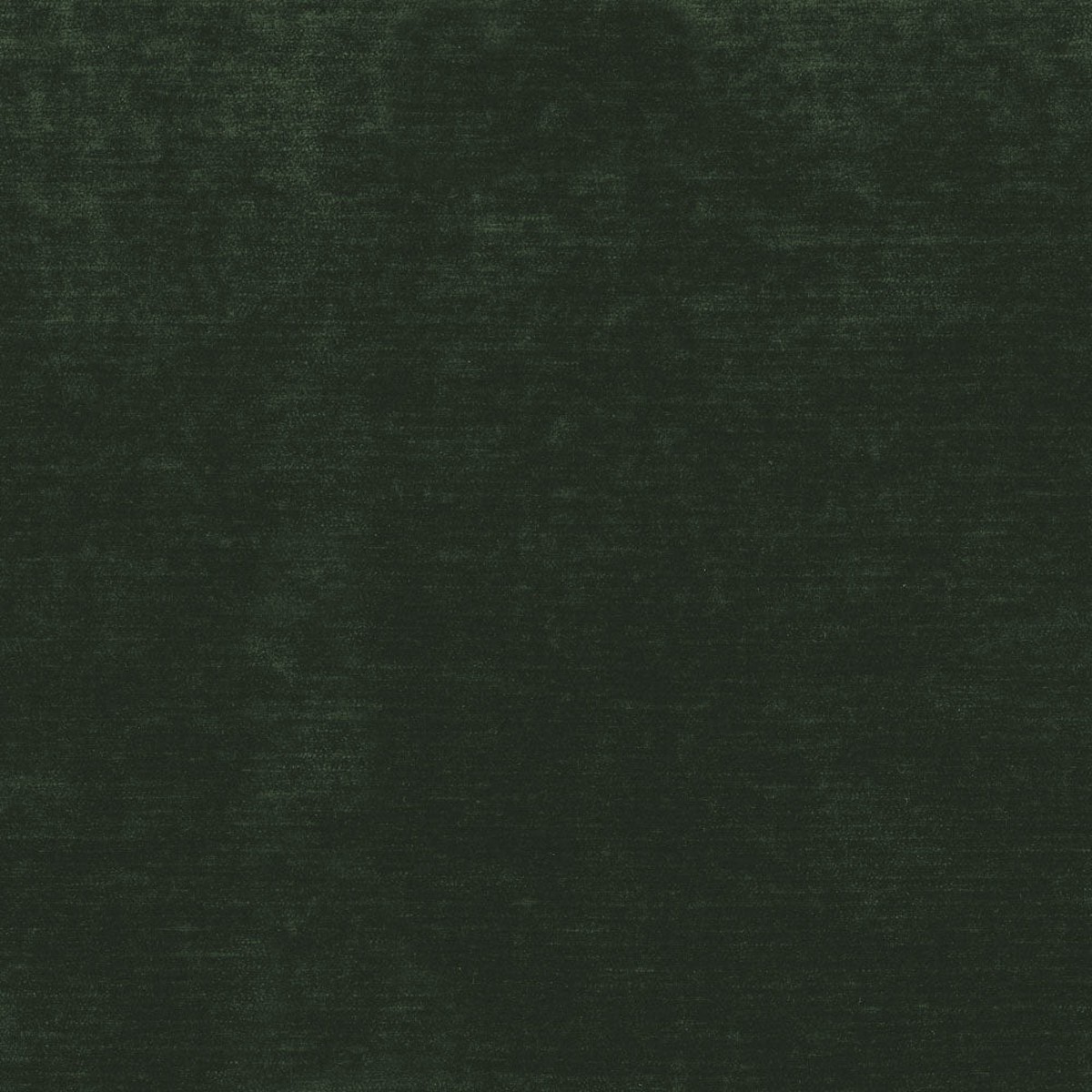 Evan-B Forest Regal Fabric