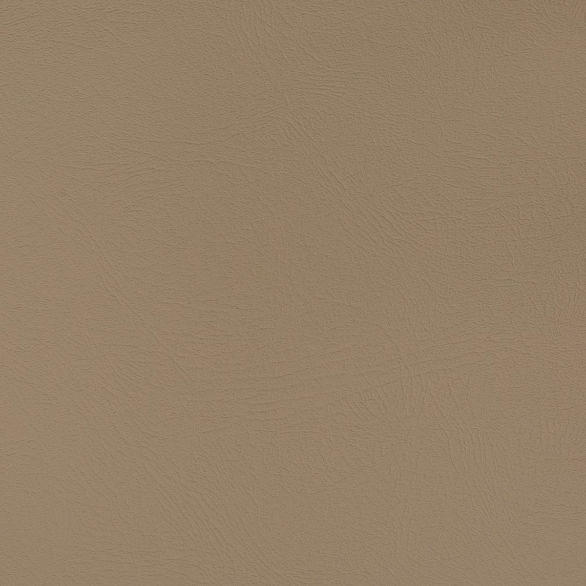 Charlotte Hazelnut Fabric V369
