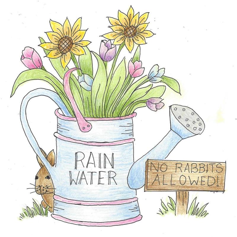 Rain Water CL011T