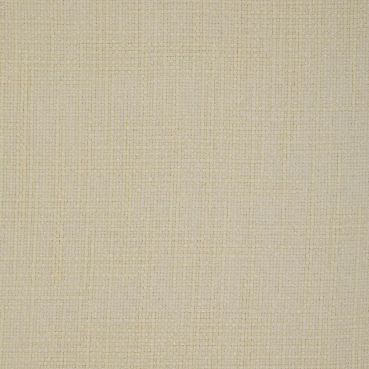 Kravet Smart 36991-111 Fabric