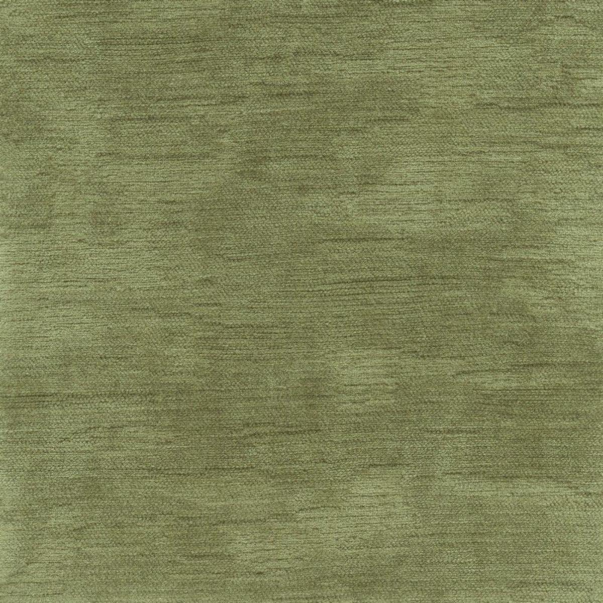 48613 OLIVE (IMPERIAL)