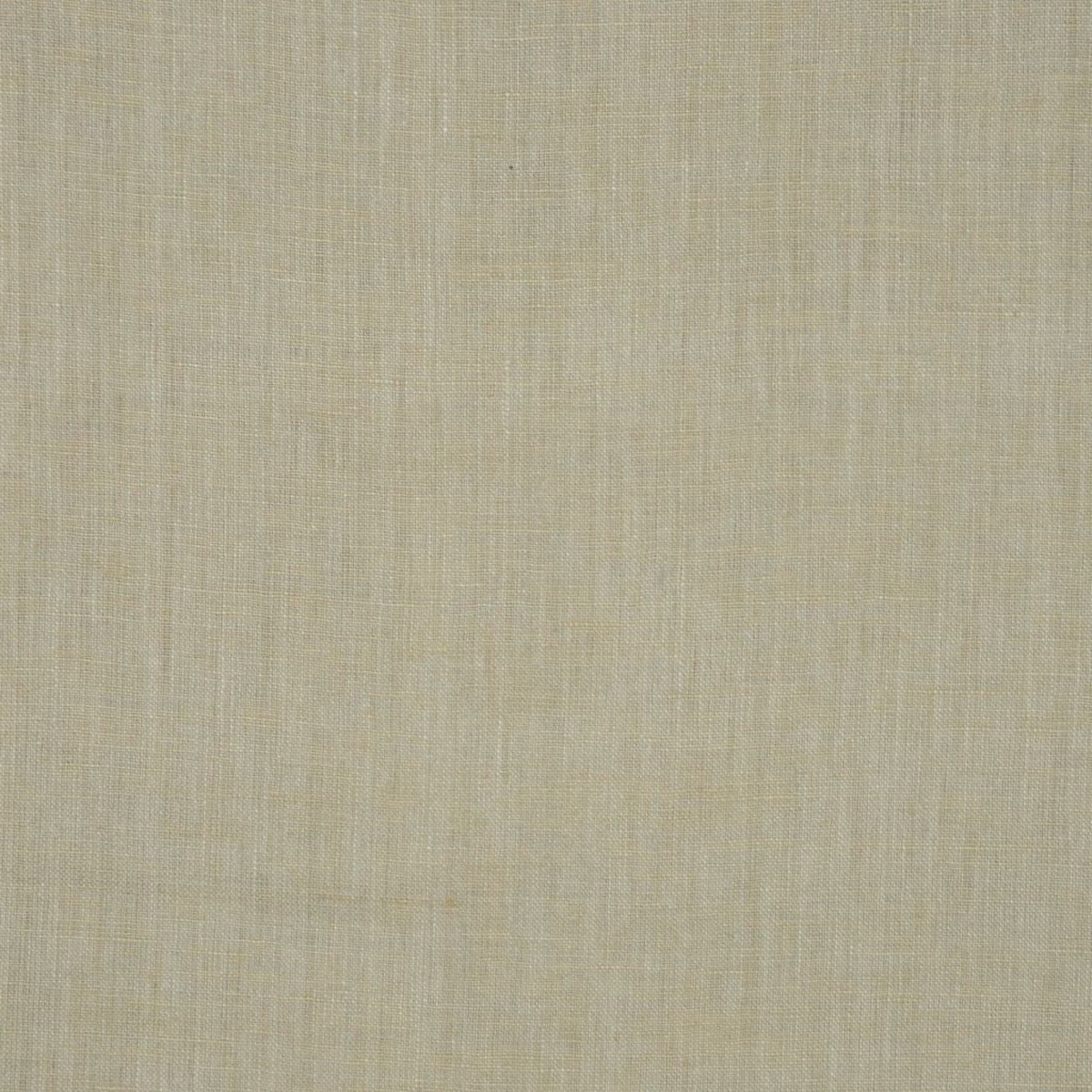 INSIGHT MOSS RM Coco Fabric