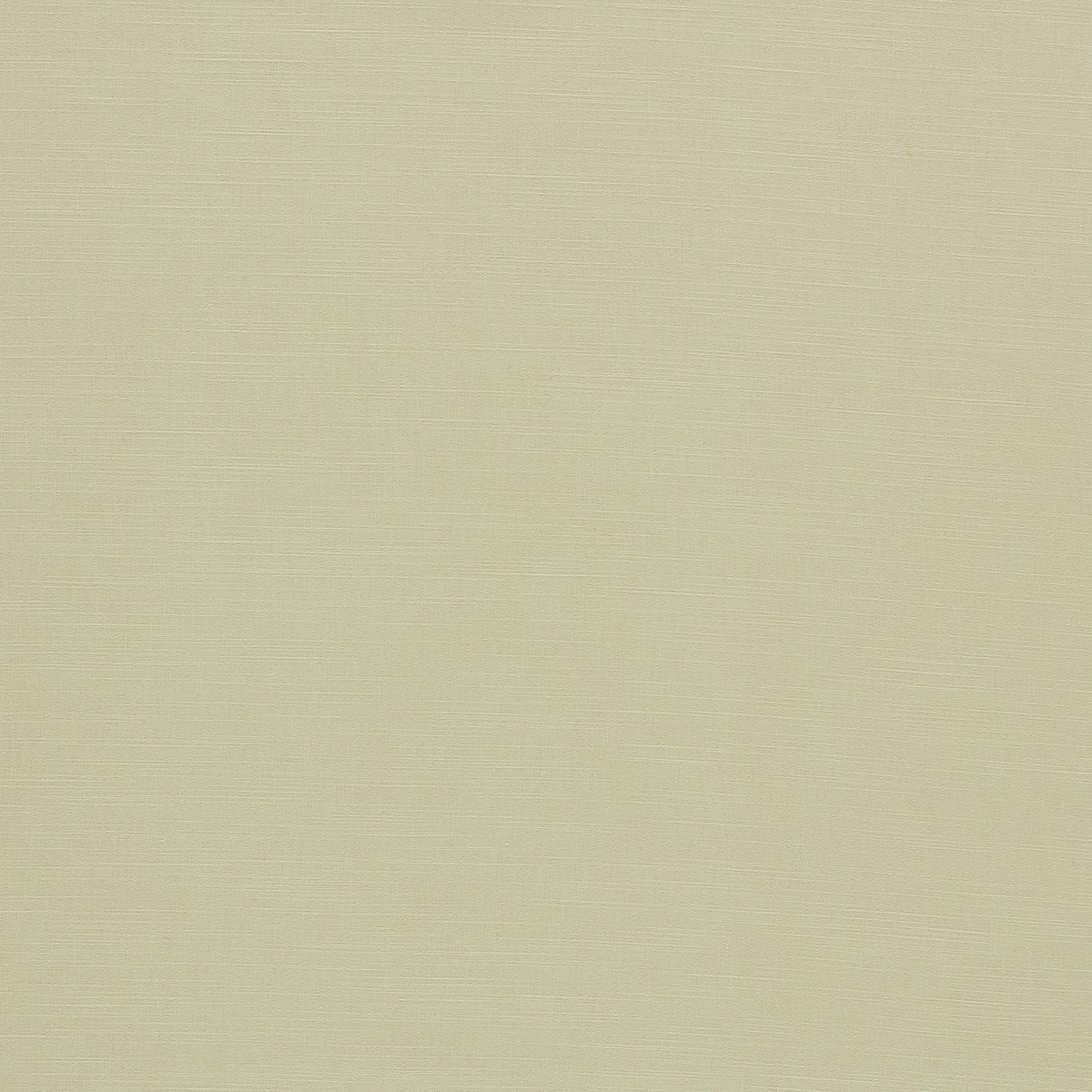 Paradiso Natural Fabric by Clarke & Clarke