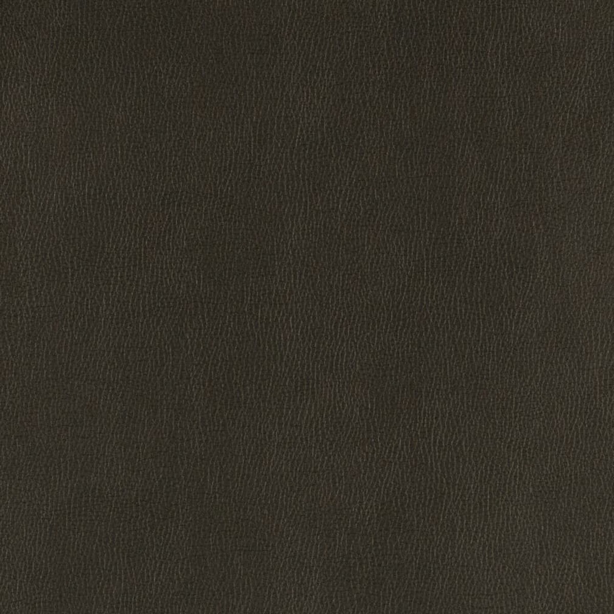 Charlotte Onyx Fabric V806