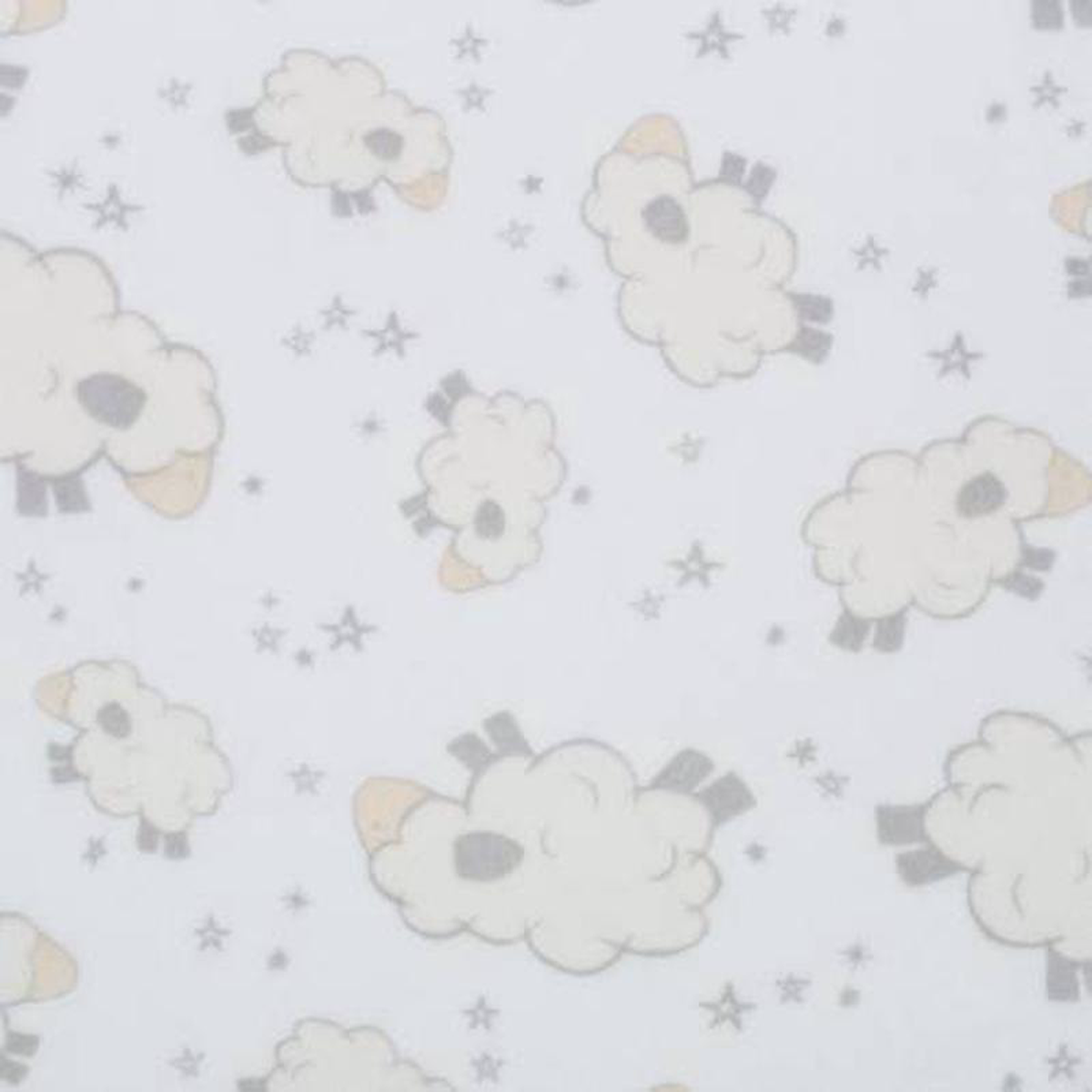 608243 Wide Baaa Lammy