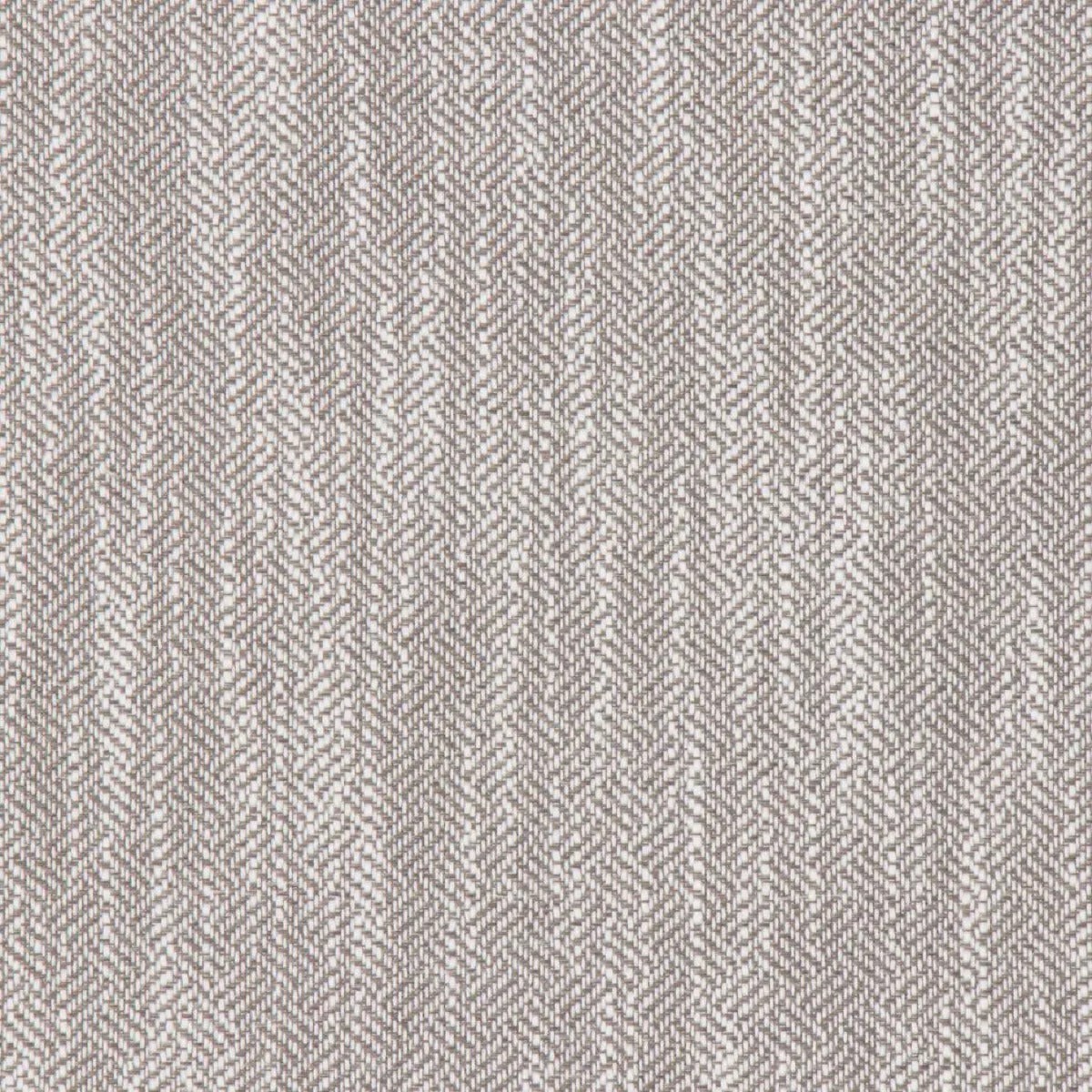 Catskill Birch Bella Dura Home Fabric