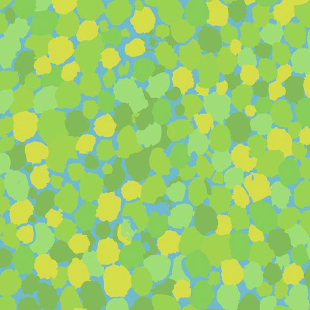 Kaffe Fassett - Reflections Lime