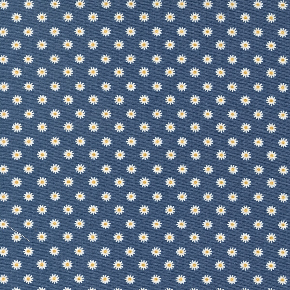 Vintage Soul Daisy Dots Horizon