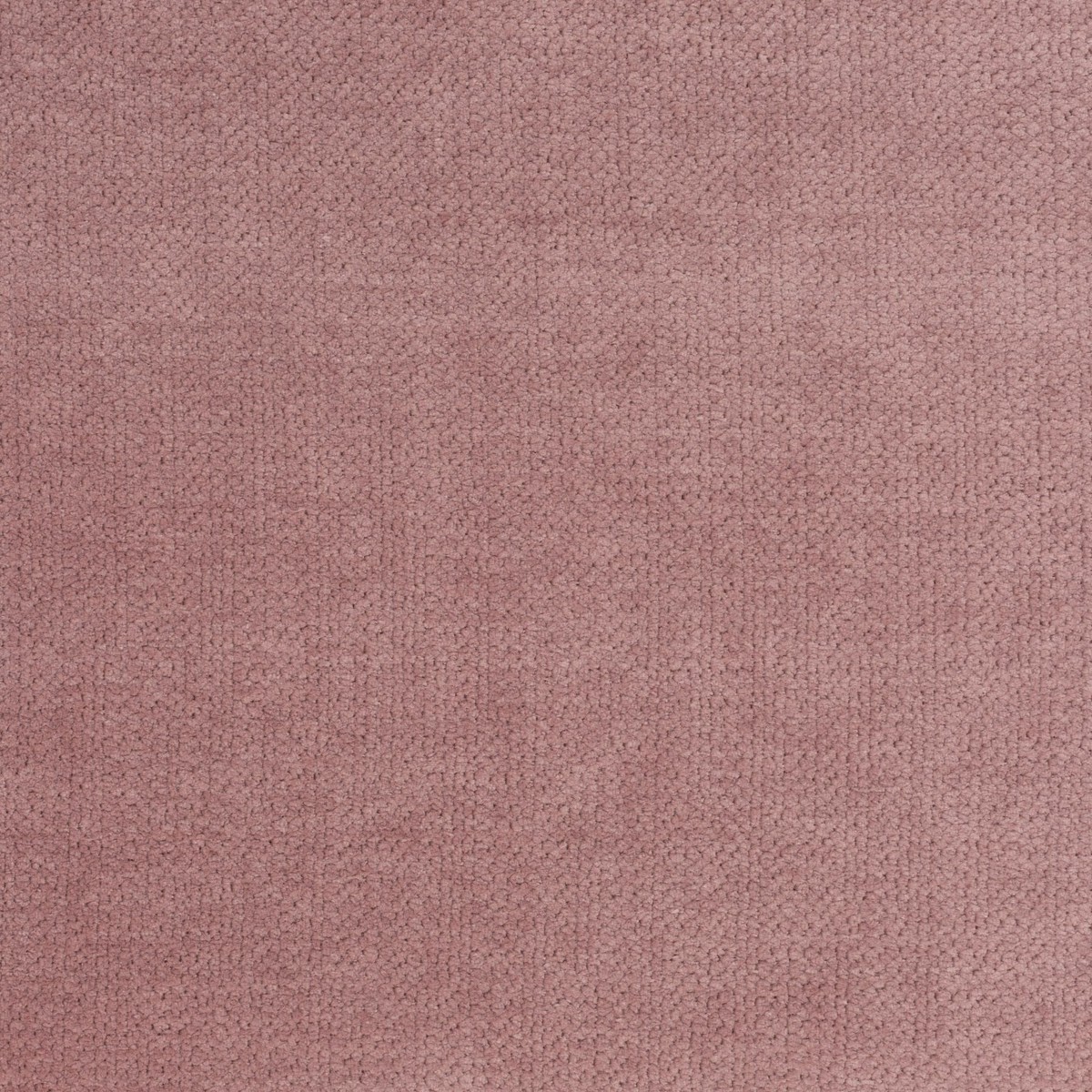 Carlucci Beloved 062 Fabric CA1662/062