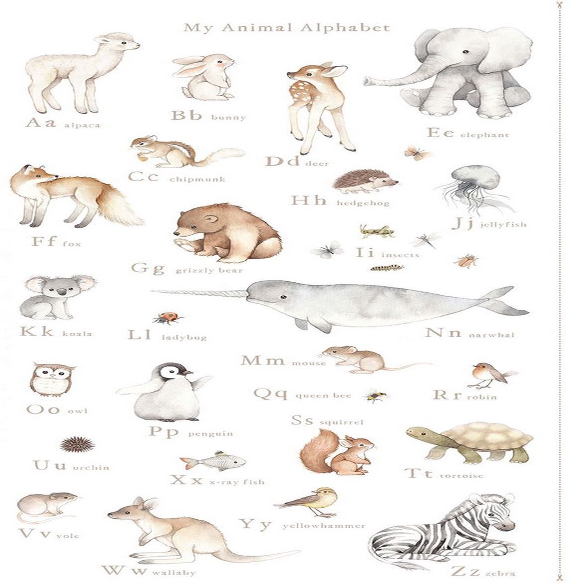 Dear Stella - ABCs of Love - Animal Alphabet Panel on White