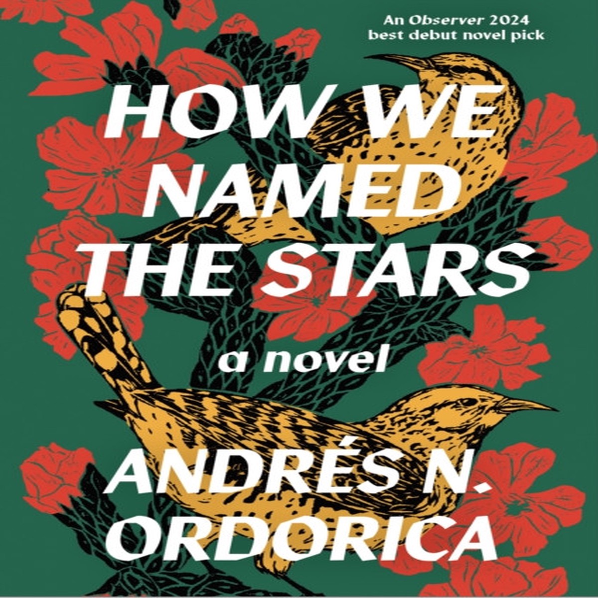 How We Named the Stars by Andres N. Ordorica