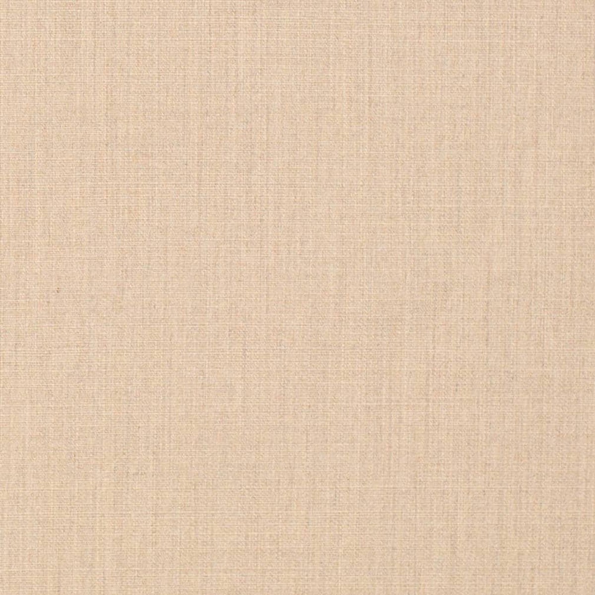 D3428 Plain & Solid Mushroom Beige & Taupe Charlotte Fabrics