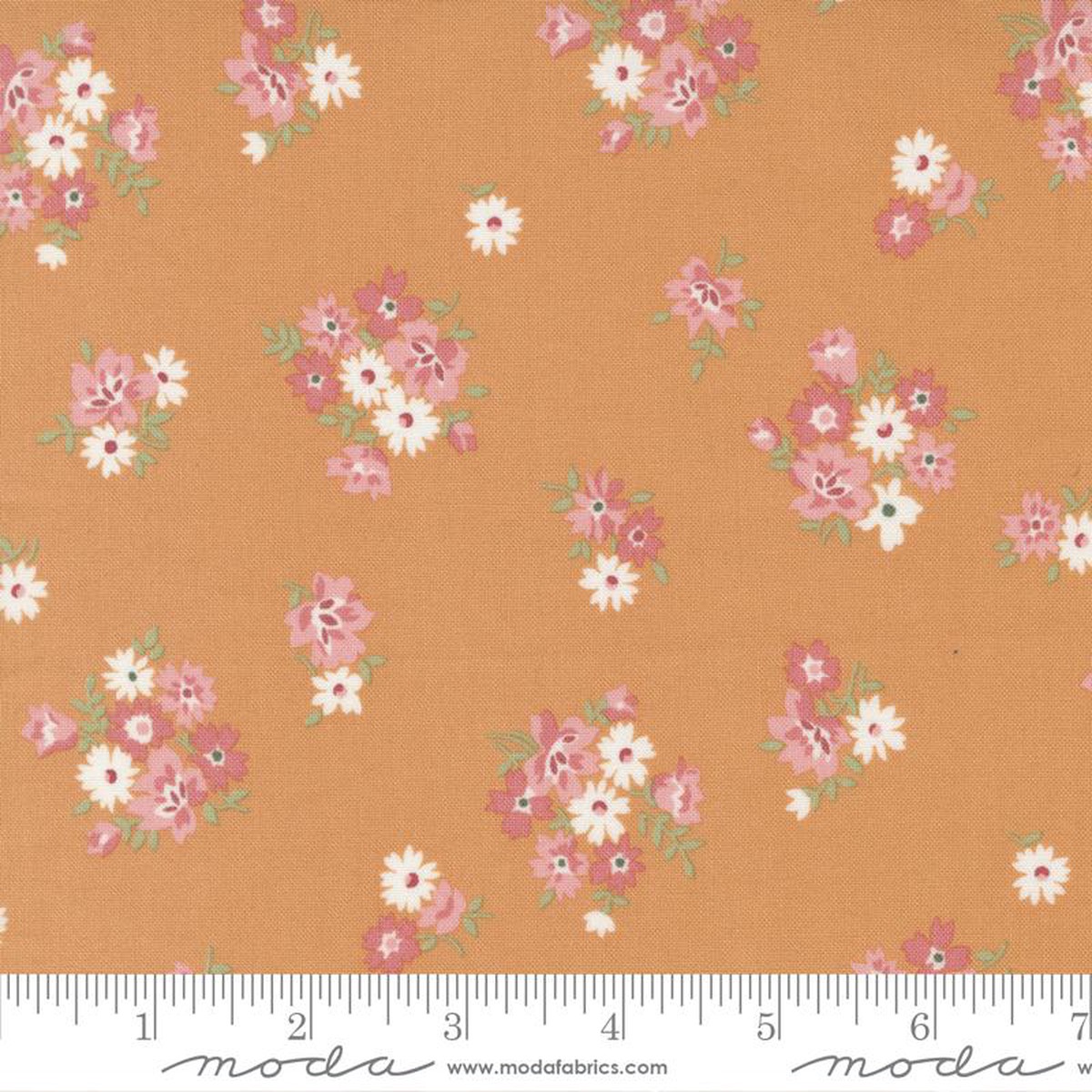 Sunnyside, 55288 18, Apricot, Camille Roskelly
