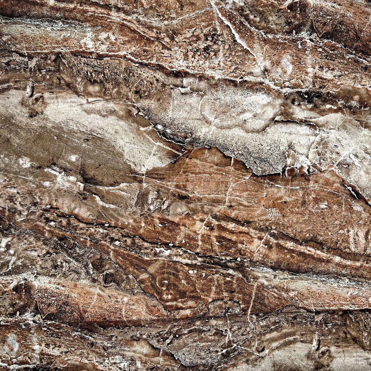 Brown Latte Surfaces Cotton Wideback Fabric per yard