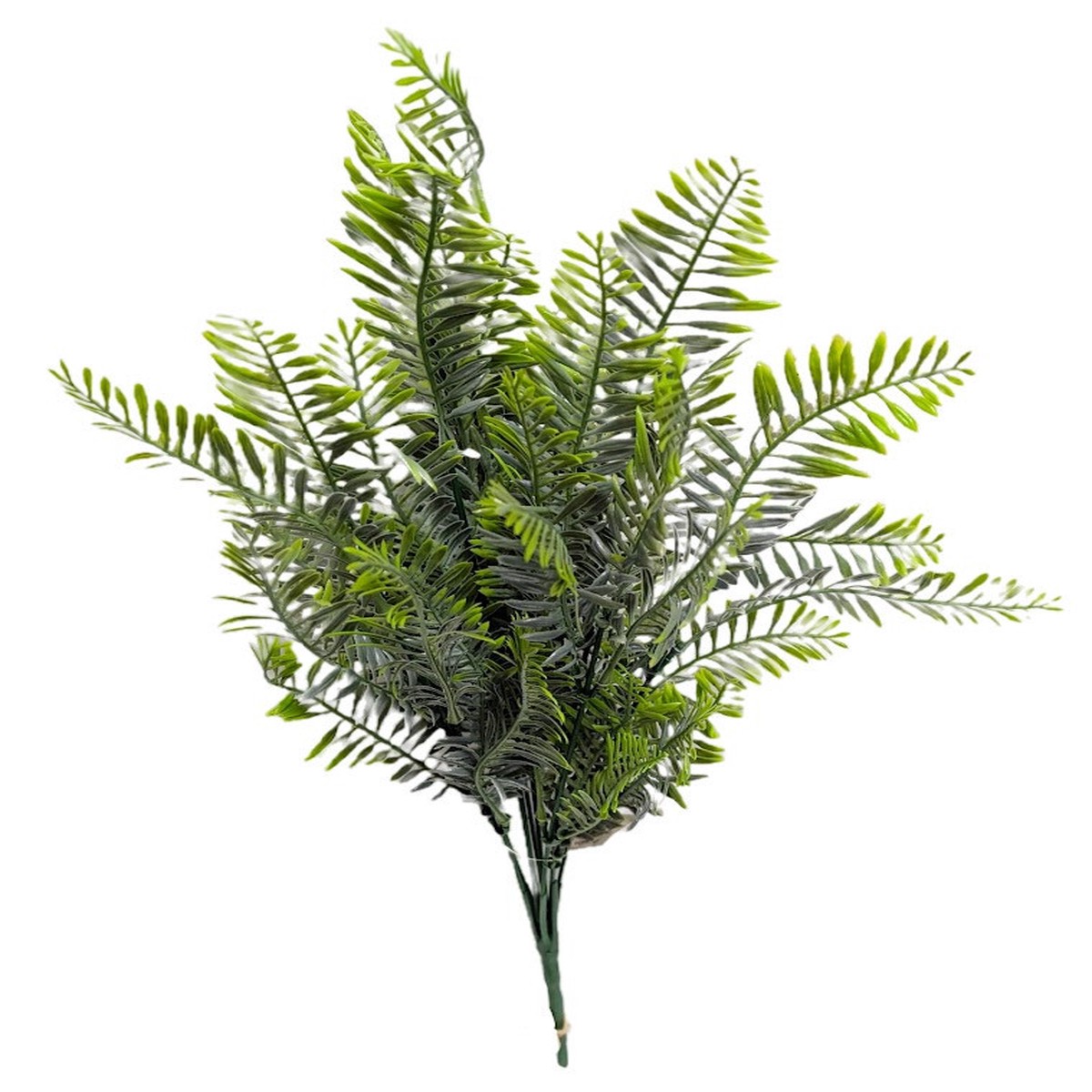 Fern Bush - Muted Green