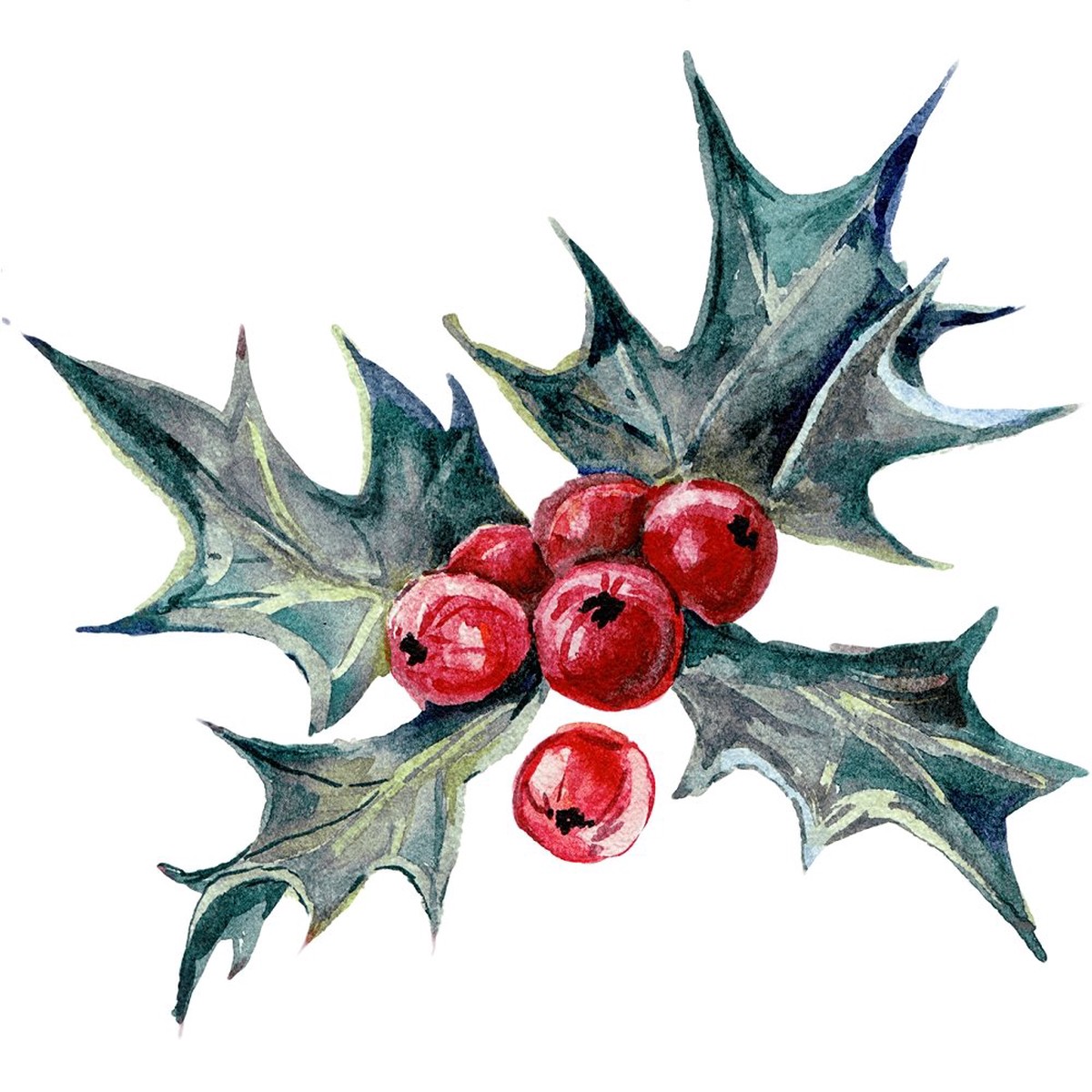 Holly Berry Plant Style 2 Fabric Panel