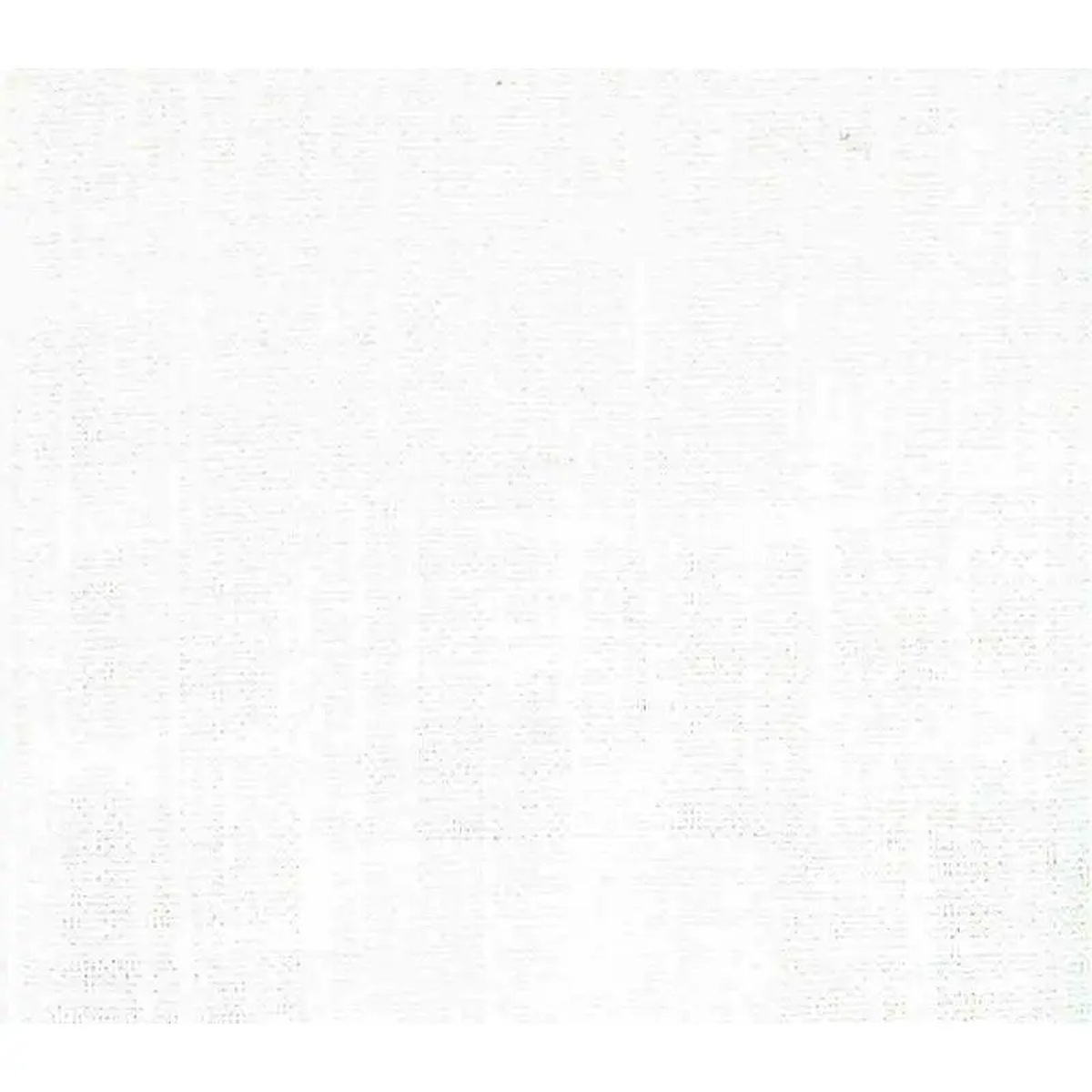 Speedy Snow P Kaufmann Fabric