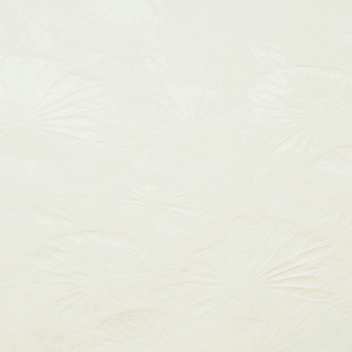 Lotus - Cream by Scalamandre Fabric