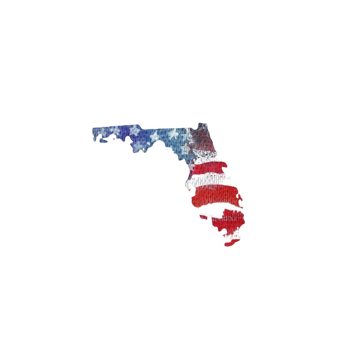 Watercolor Textured Flag Fabric Panel - Florida