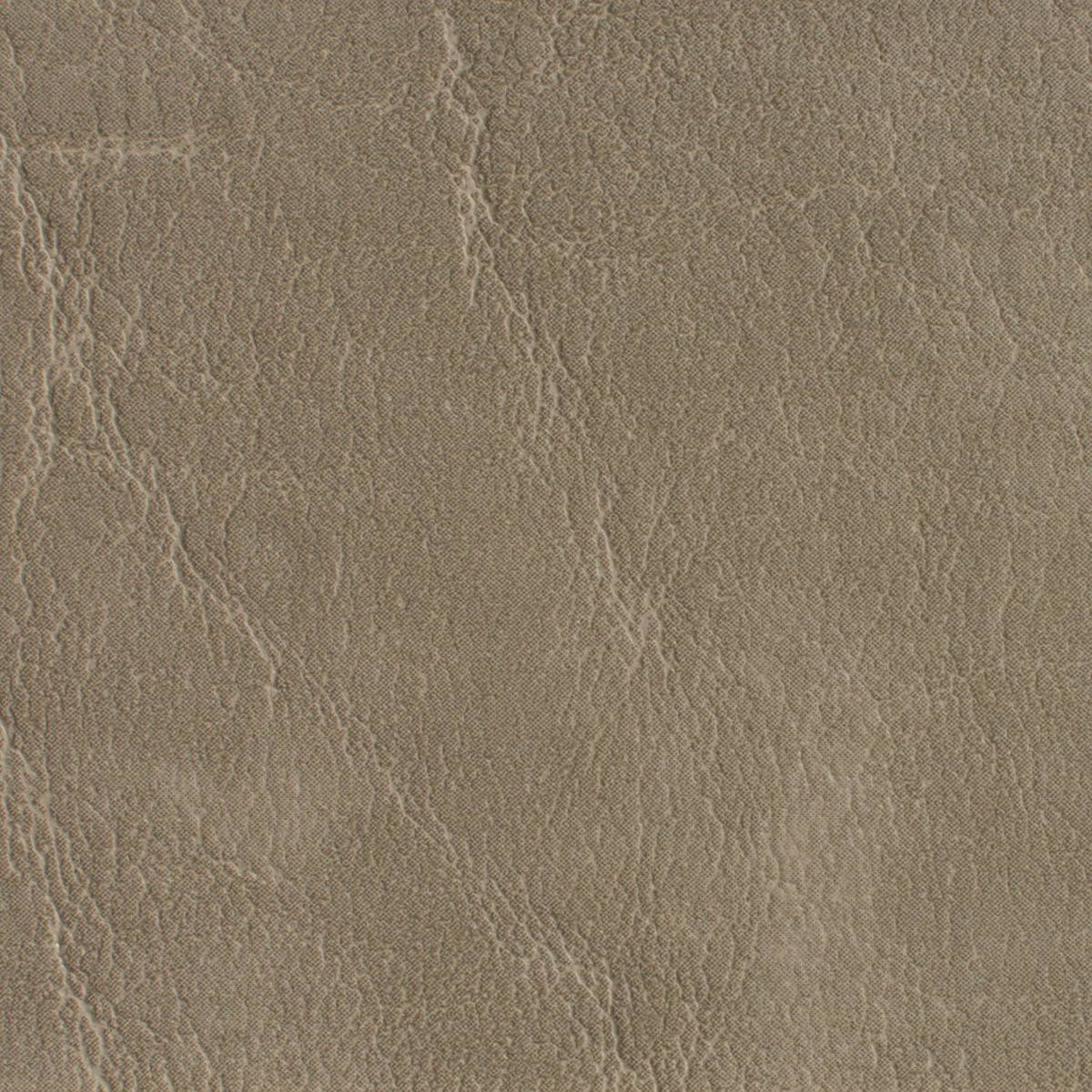 Laney Taupe