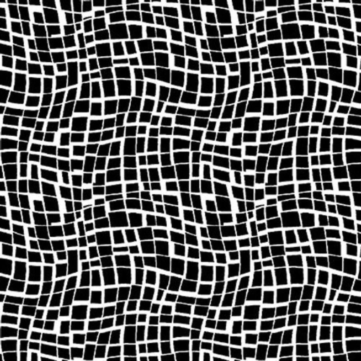 Wavy Grid Black/White by Studio E