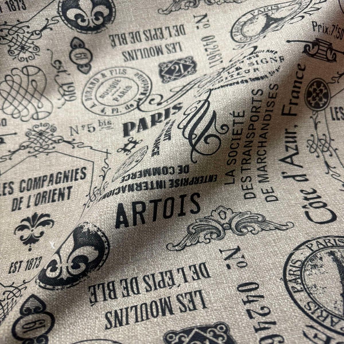 Paris France Eiffel Fleur de Lis - Richloom Cotton Canvas Fabric