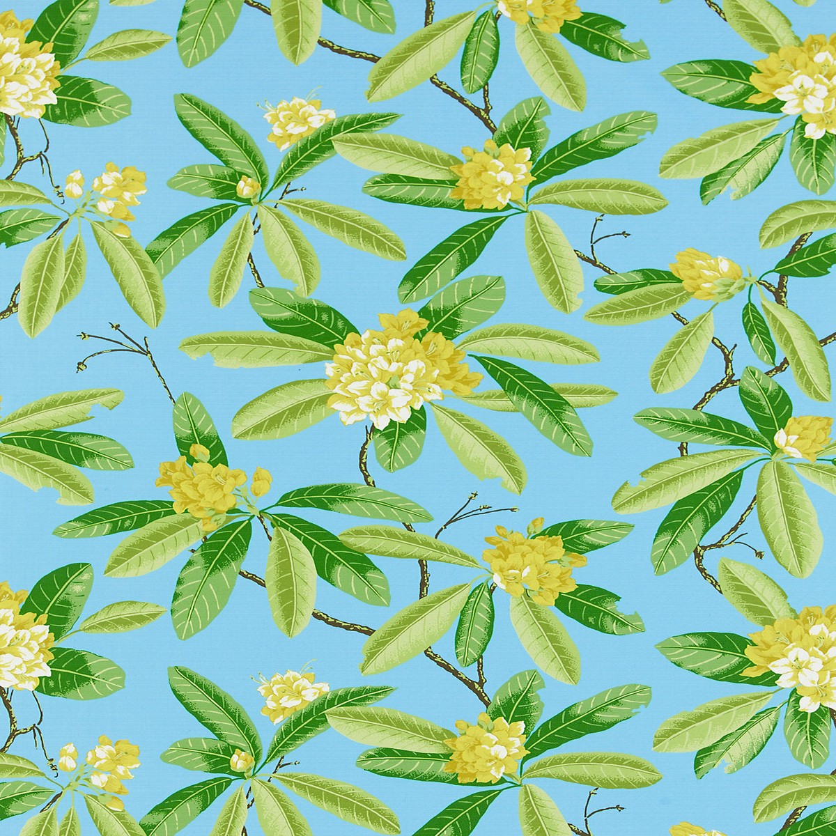 Rhododendron | Outdoor - Carolina by Scalamandre Fabric