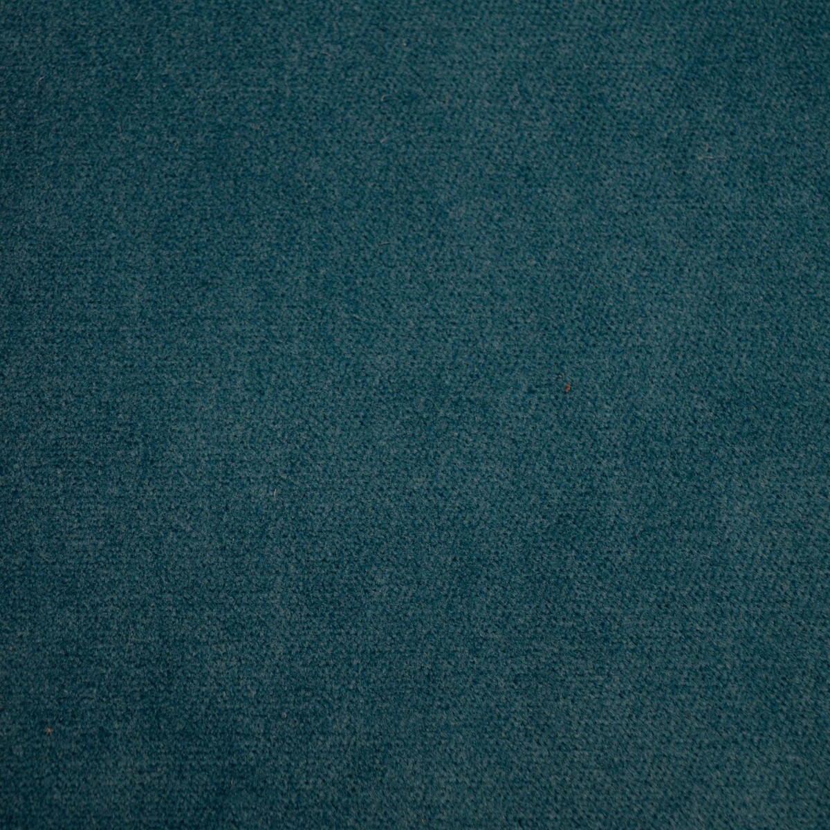 Obsession Peacock P Kaufmann Fabric