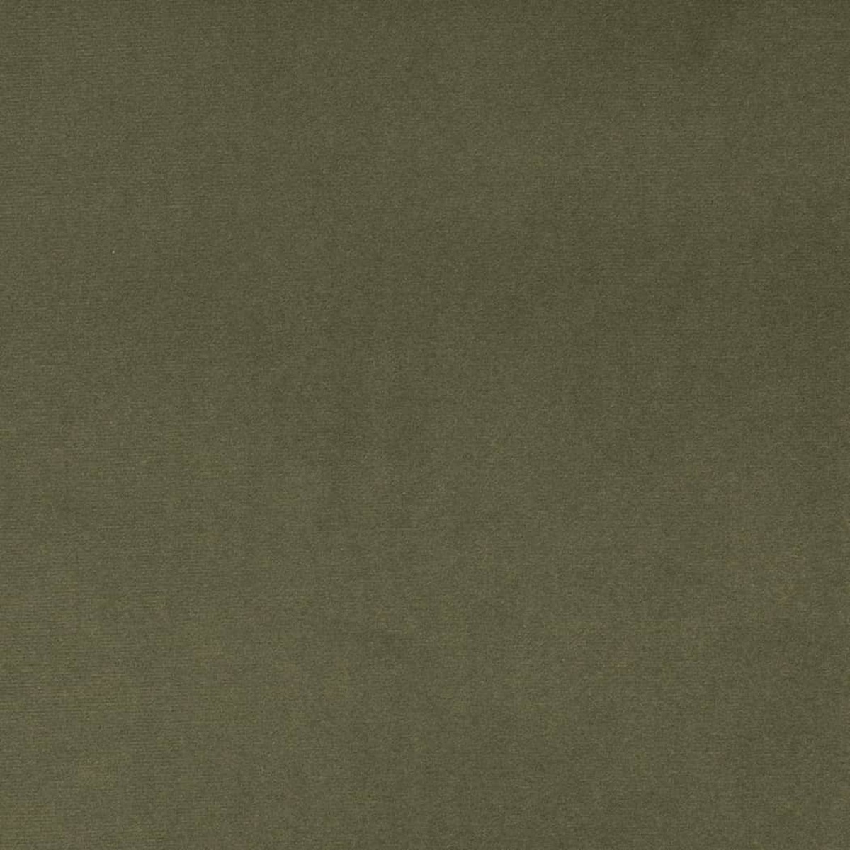 Charlotte - D4516 - Dill - Fabric by the Yard
