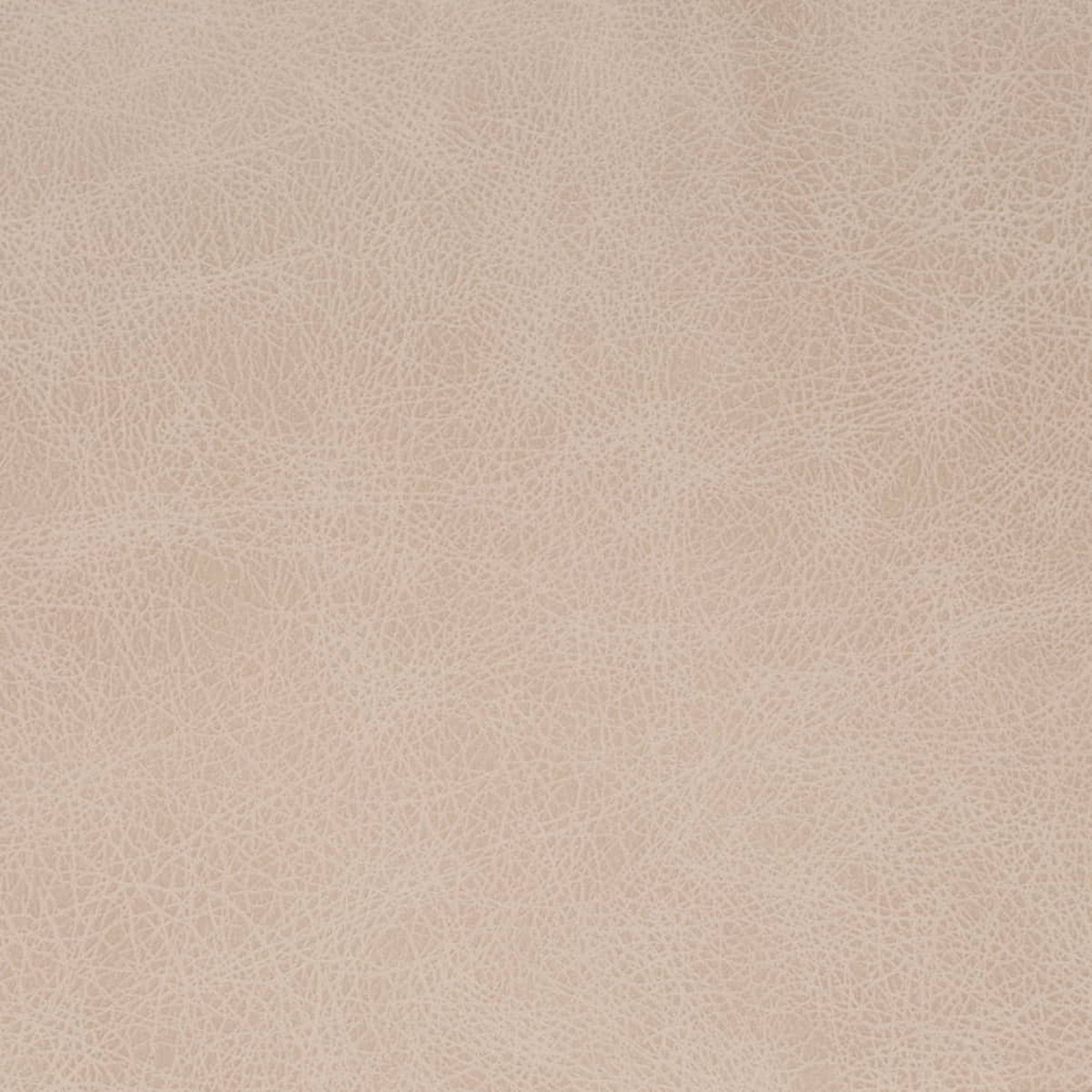 Charlotte - V857 - Fog - Fabric by the Yard