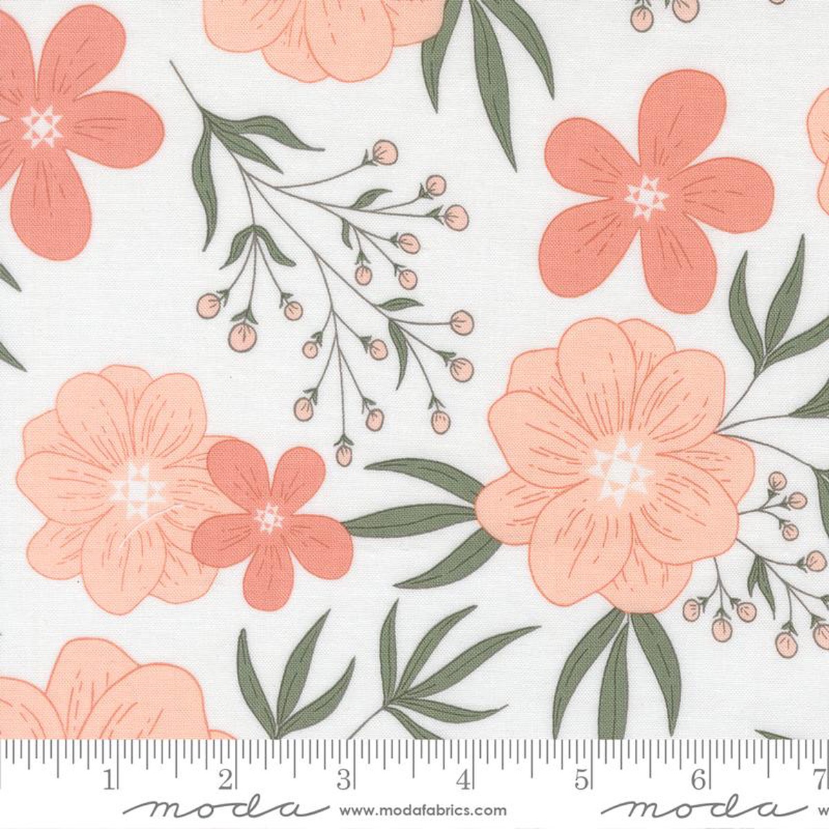Potted - Large Flowers, Peach on White