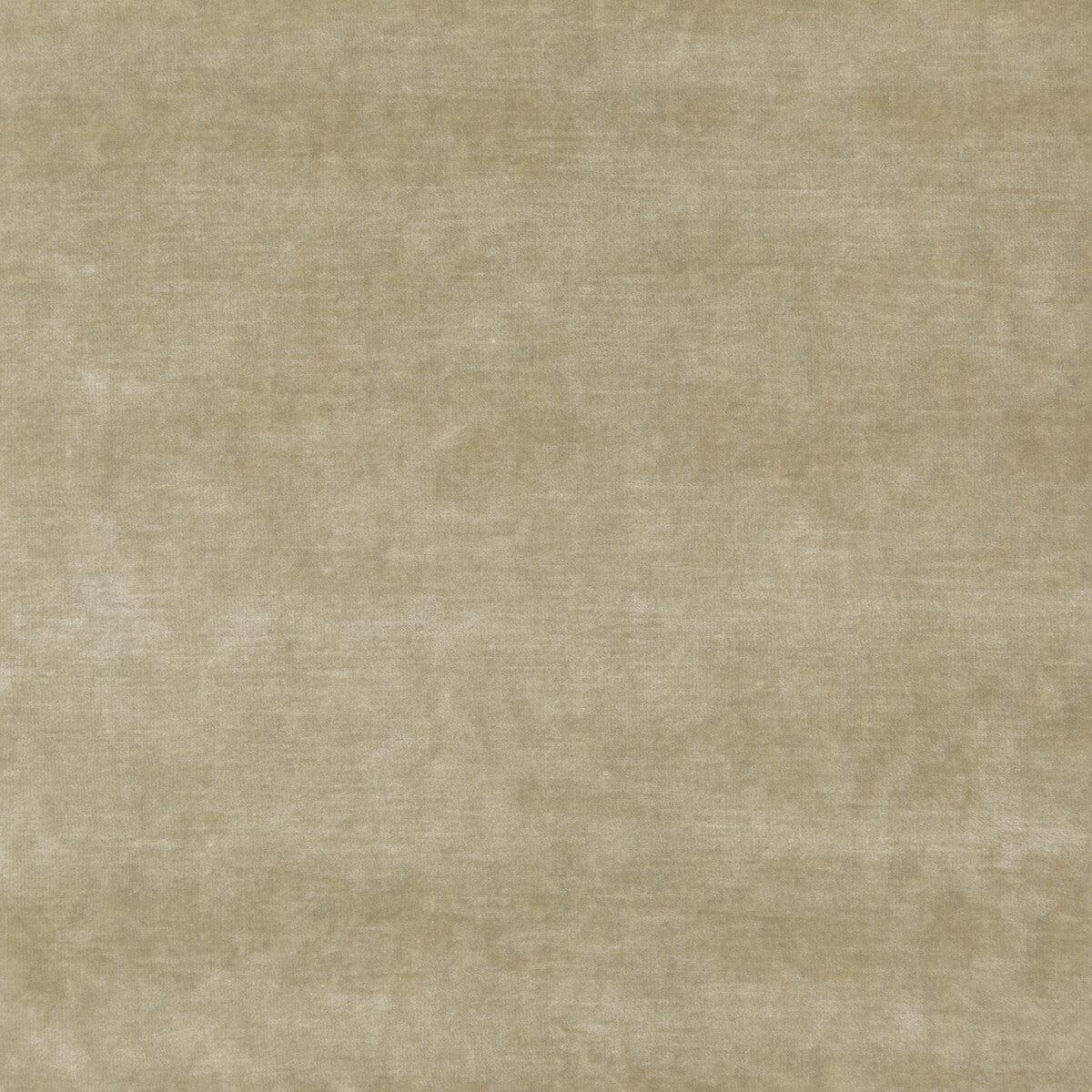 King's Velvet Oyster Fabric