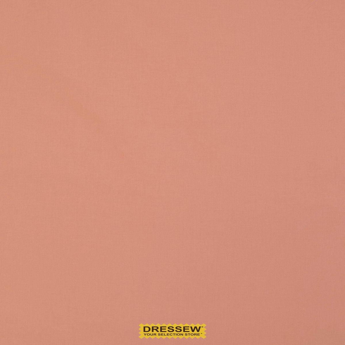 Sevenberry Kobe Rose