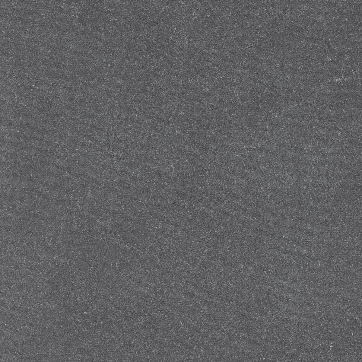 Canopy Light Gray Fabric