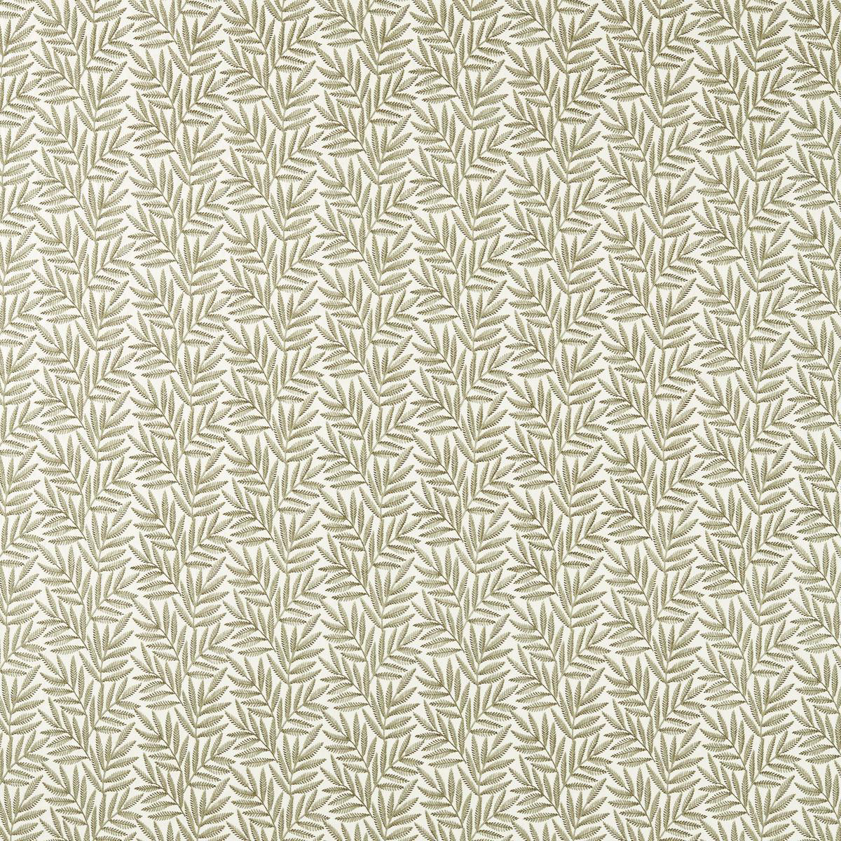 VIrgata Fern Expressions Fabric by Clarke 038 Clarke