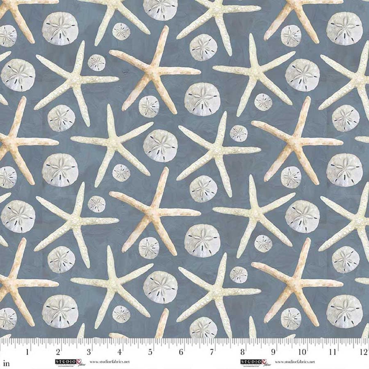 A Drop in the Ocean - Dollars and Stars - Slate - Cathy Walters