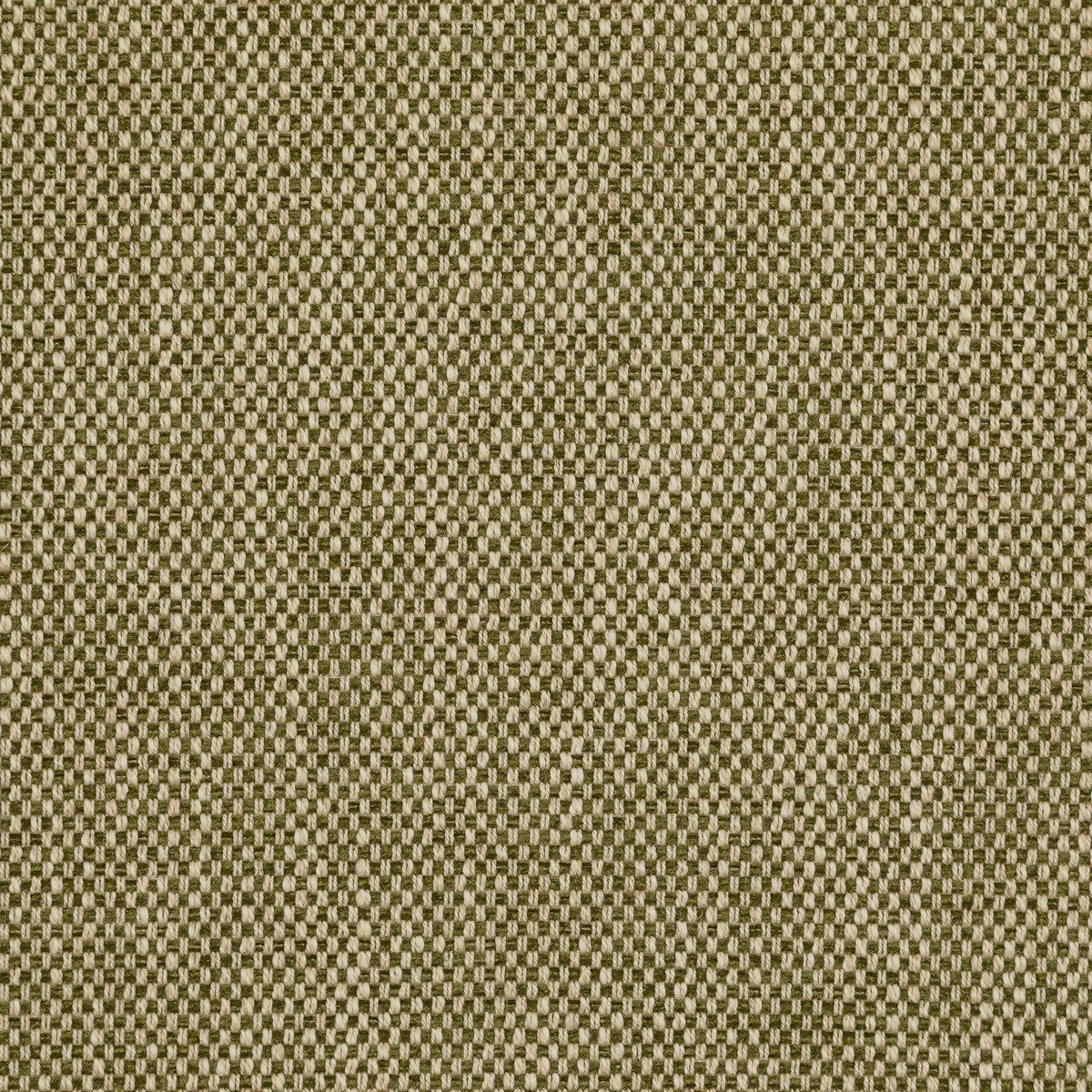 Carlton Moss Fabric