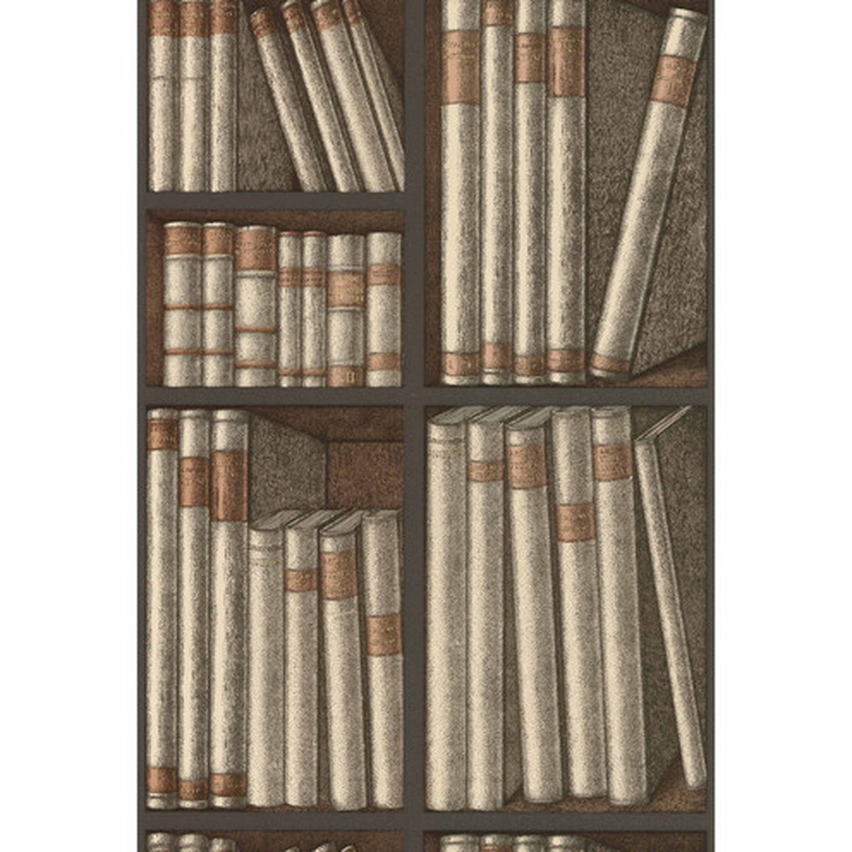 Ex Libris - Oat/Charcoal By Cole & Son