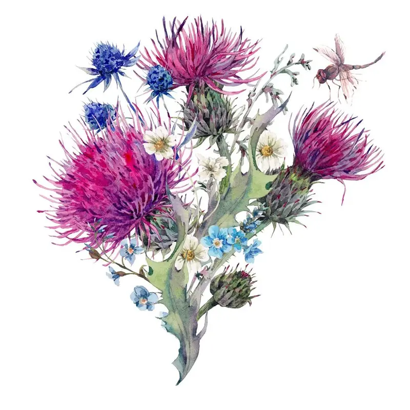 Watercolor Thistles & Wildflowers Variation #1 Fabric Panel